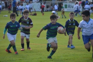 Rugby: más de mil chicos jugarán un torneo amistoso en San Juan