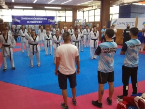 Taekwondo: ¡Hay equipo para soñar con los Panamericanos!